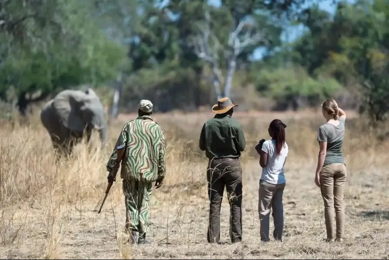 Luxury Walking Safaris in Africa.