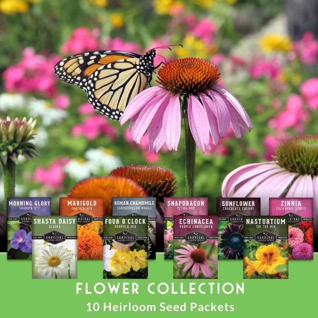 Garden Flower Border Collection