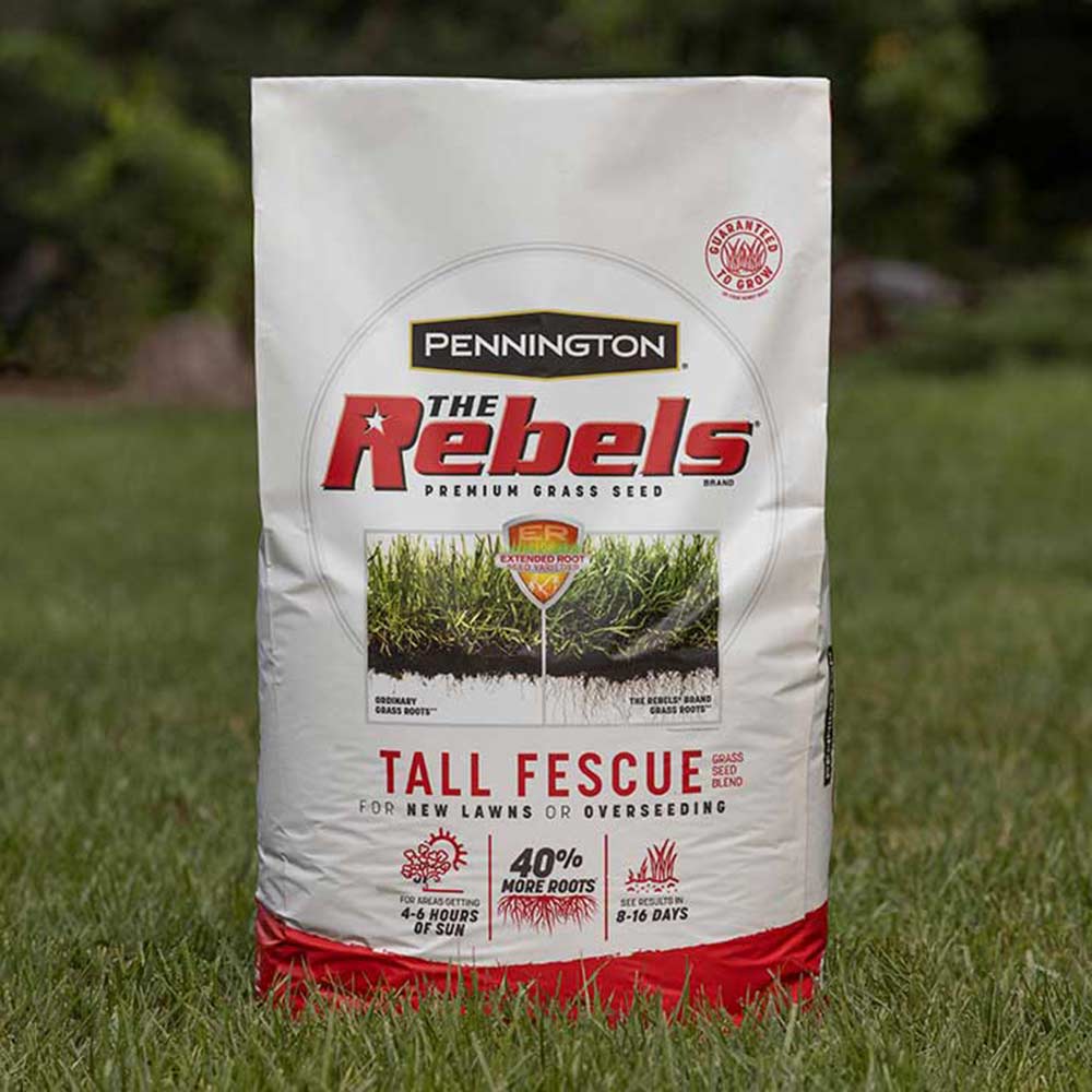 Tall Fescue Seed Blend