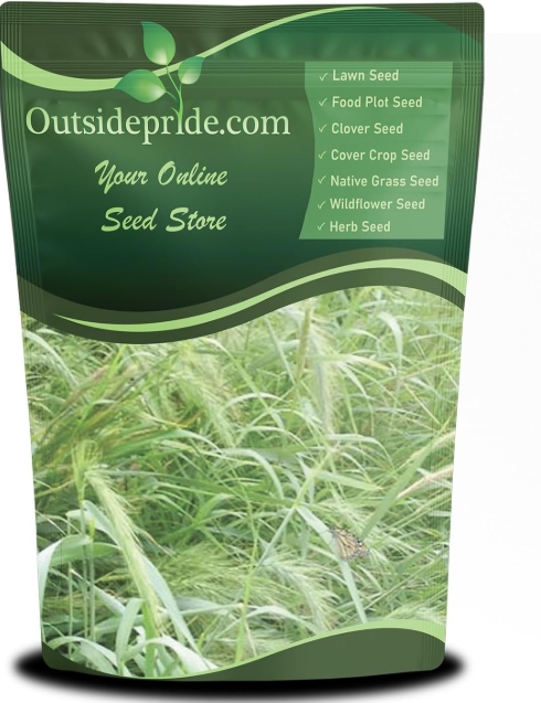 Native African Grass Mix (Themeda + Eragrostis)