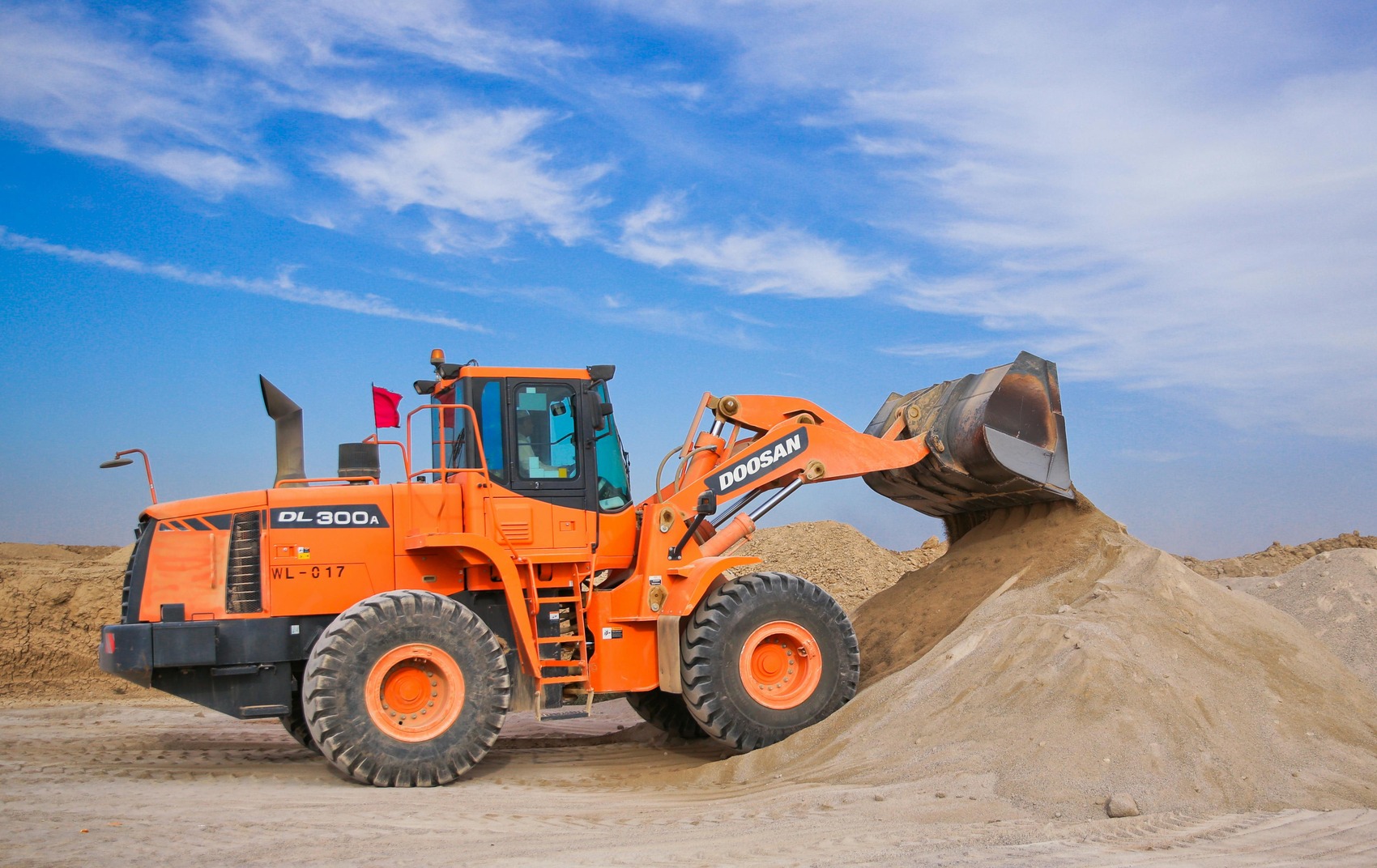 Lion Cats Africa Mechanical Operators