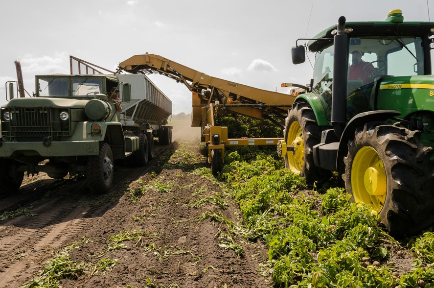 Agriculture & Land Development