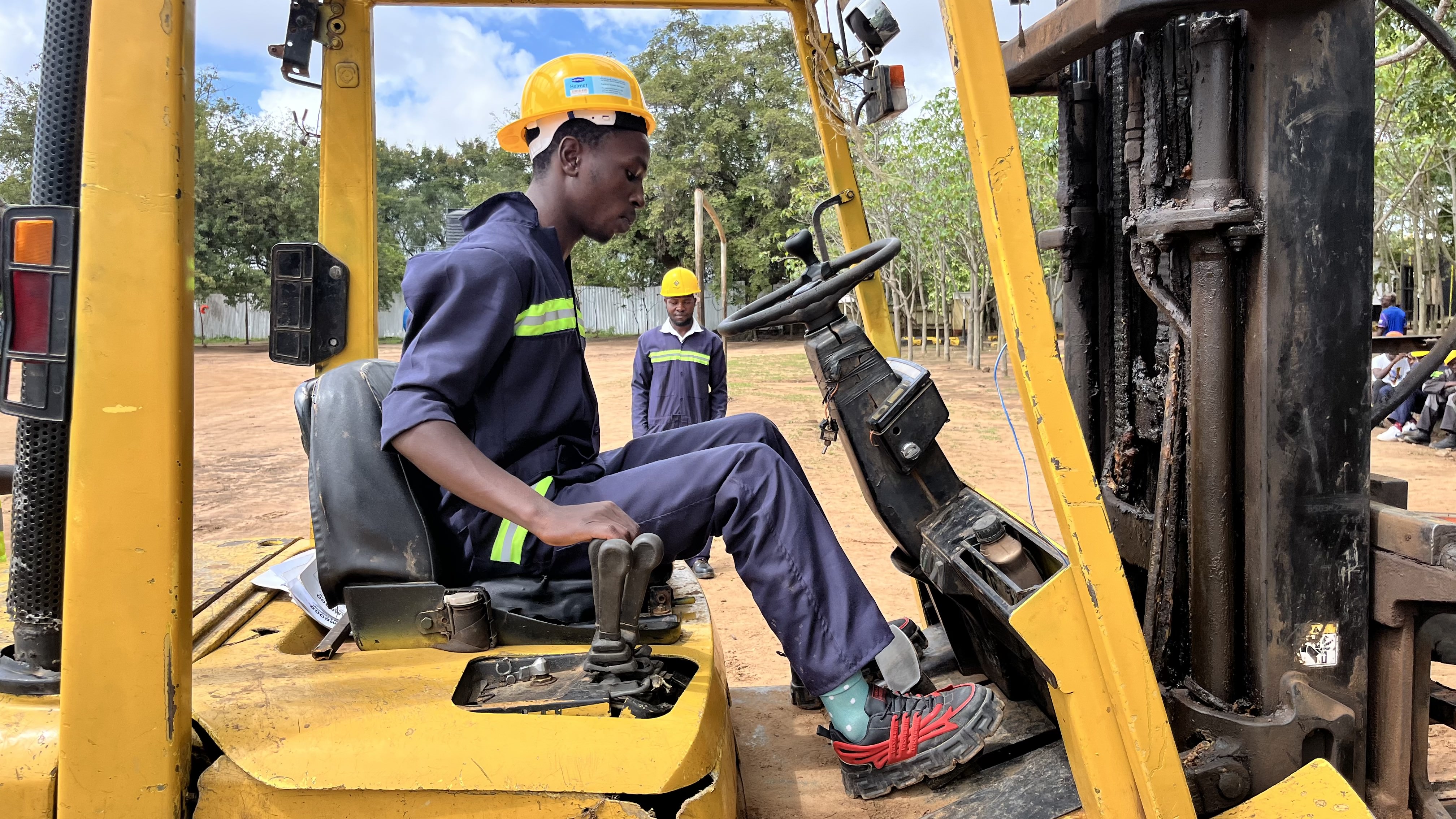 Forklift operation | Lion Cats