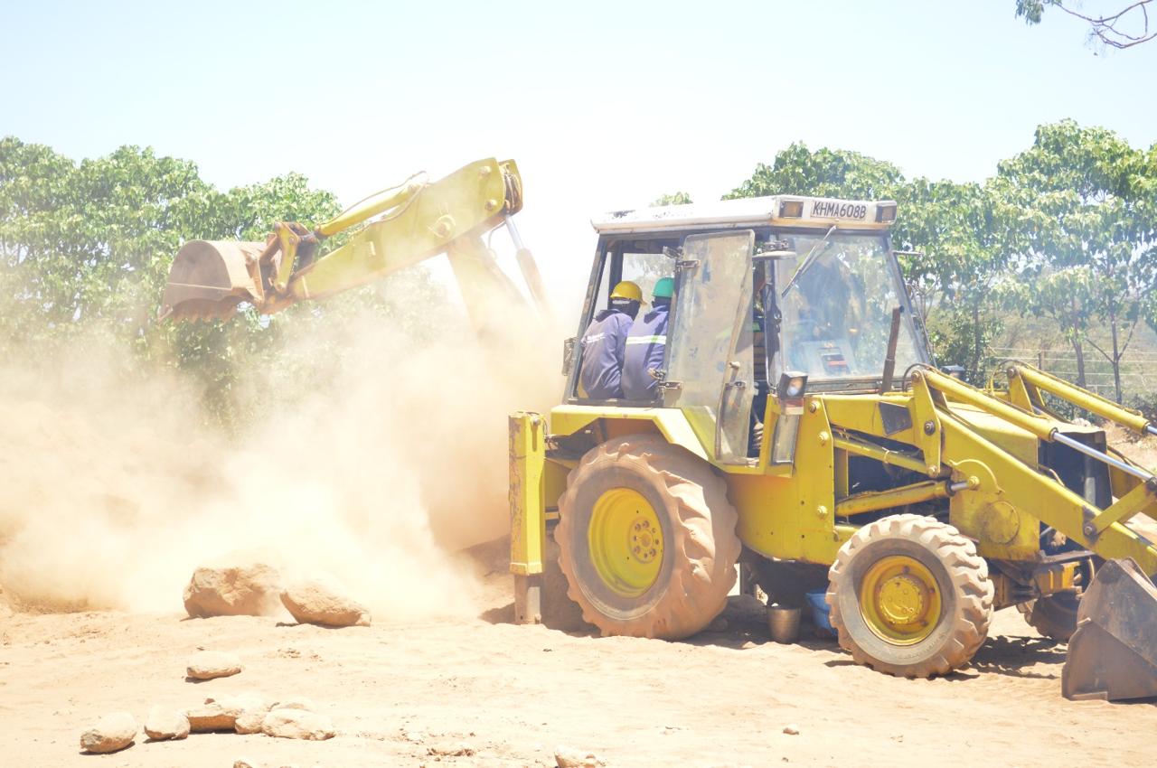 Kicking Up Dust, Gaining Skills | Lion Cats